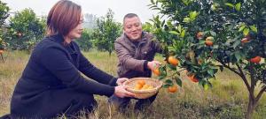 让村民日子越过越甜