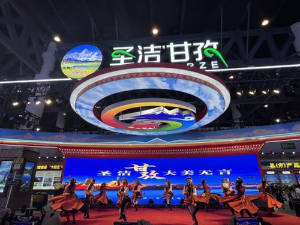 西博会甘孜馆携手阿里，共筑甘孜特色产业高质量发展