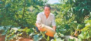 返乡种水果 他带领村集体趟出增收新路径