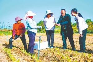 引进“专家团” 挖掘“田秀才”