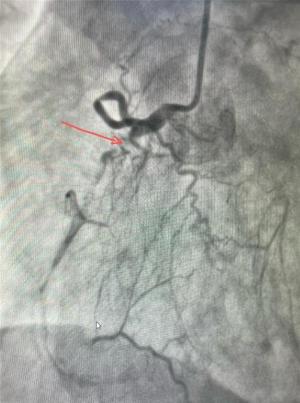 犍为县人民医院：分级诊疗见实效 优质医疗惠民生