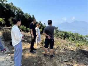 专家实地巡诊 助力金口河区产业发展