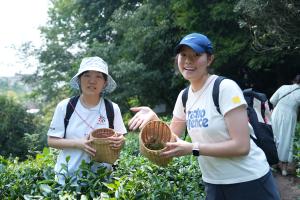【港澳台大学生实习感悟】谭韵涵：一茶一叶感受川式“慢节奏”