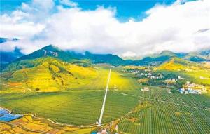 “橄”争流 竞芬芳