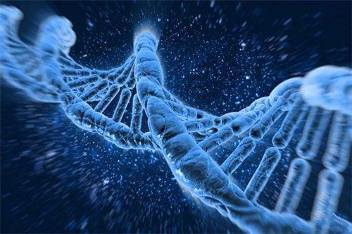 DNA自我修复是生命科学研究新领域