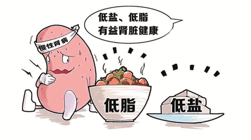 肾病不同时期的营养治疗（上）