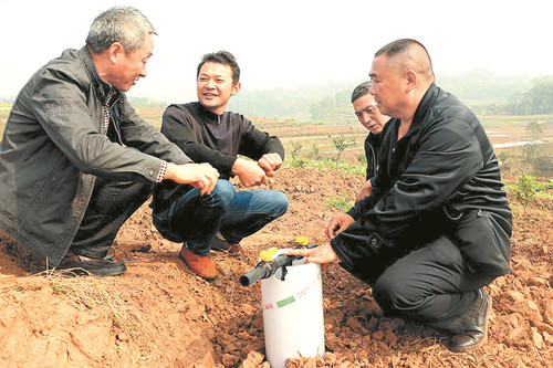 江阳区实施果树高效节水灌溉工程出效益 