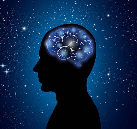 人脑长这么大 60%是生态因素
