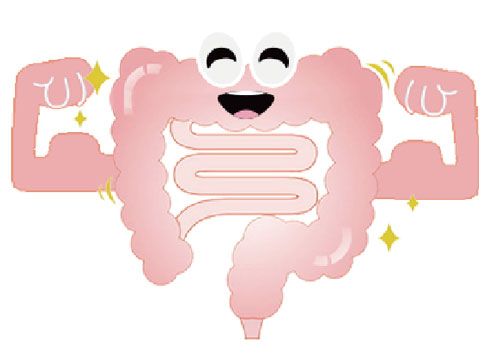 肠道健康不可忽视