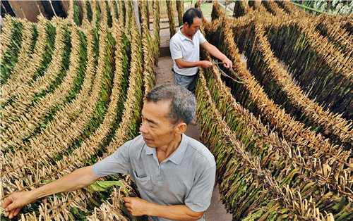因户施策助脱贫