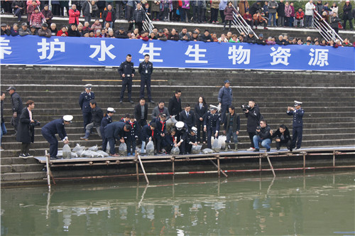 船山区城北小学师生参加“涪江渔业增殖放流”活动