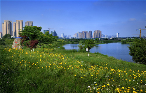五湖四海湿地公园.jpg