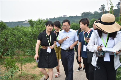 媒体记者边走变了解_副本.jpg
