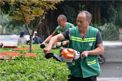 修剪树枝.jpg