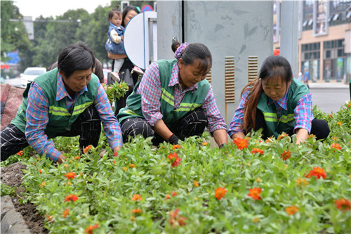 园林工栽种新植物.jpg
