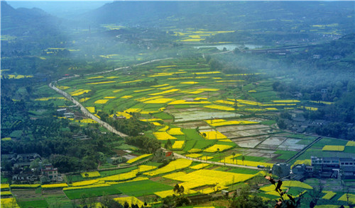 彭山美丽乡村。向庆淼 摄.jpg