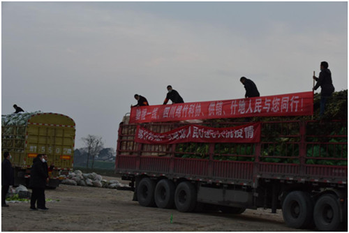 QQ图片20200210134603.jpg