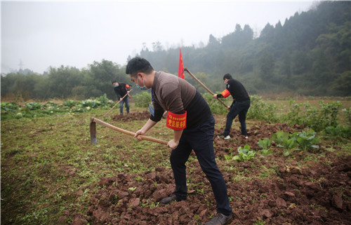 岳池县委组织部志愿服务队在普安镇龙家沟村帮助贫困户翻挖土地.jpg