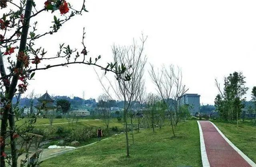 游步道.jpg