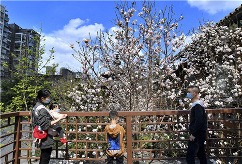 彭山区：建设公园城市  助推开放发展