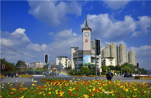 城市到路边盛开的鲜花。张勇 摄.jpg