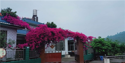 居住环境越来越好。.jpg