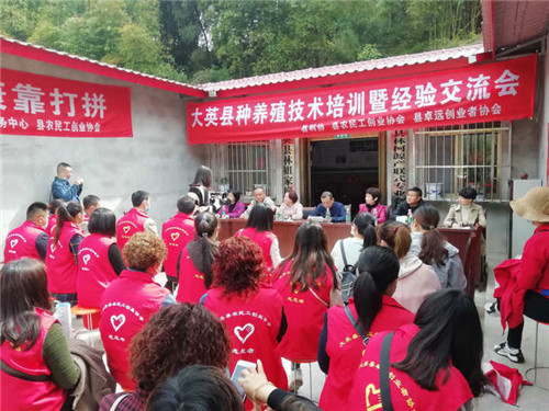 微信图片_20200526171456_wps图片.jpg