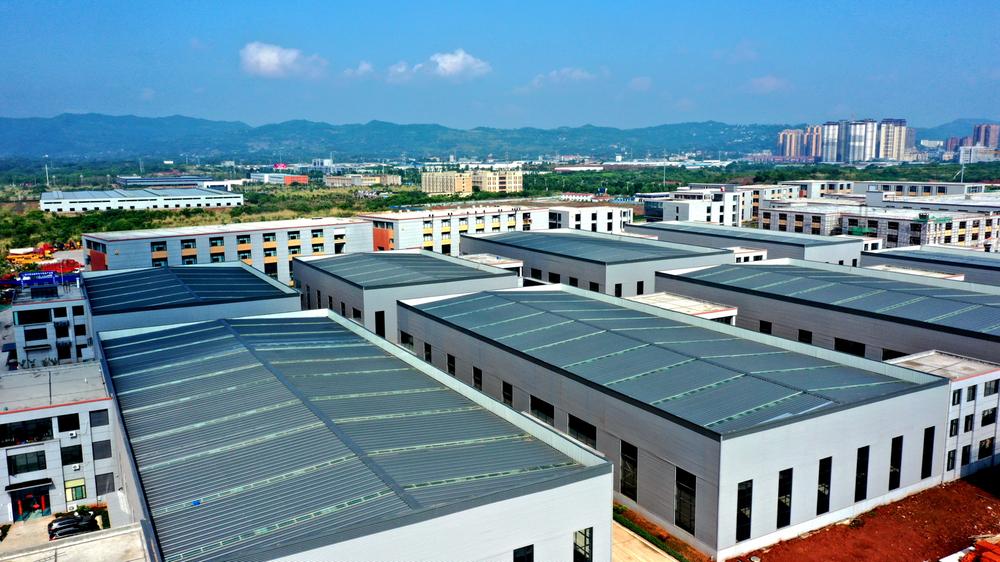  仁寿县：打造产业集群，助力电子信息产业高质量发展