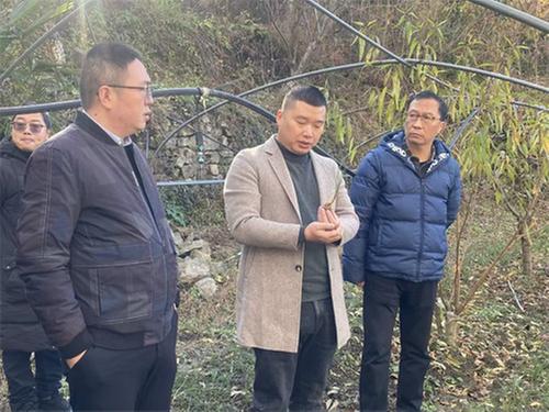 加强交流互动  赋能产业发展